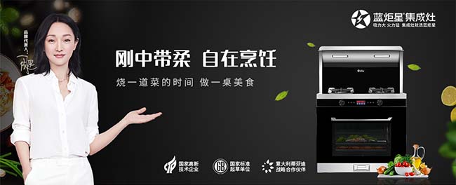 集成灶加盟