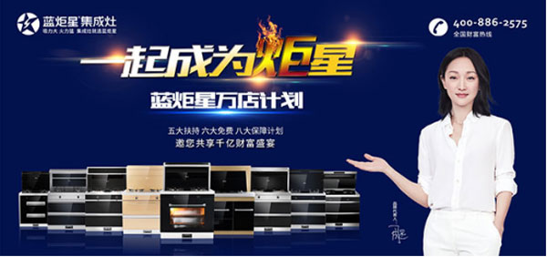 集成灶 集成灶