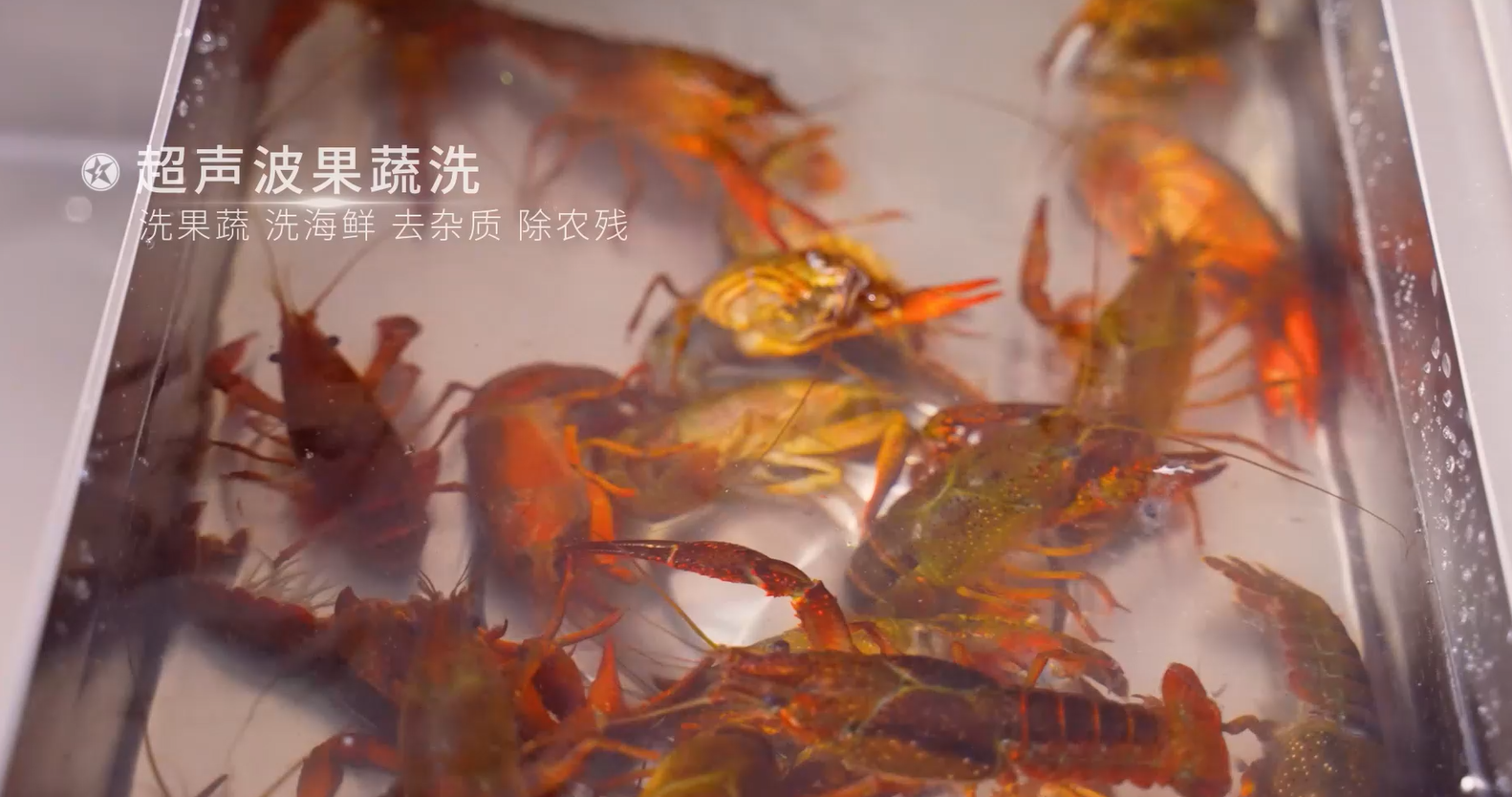 藍炬星集成灶廚房美食