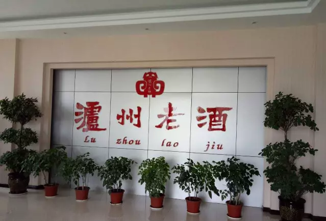 瀘州老酒集團